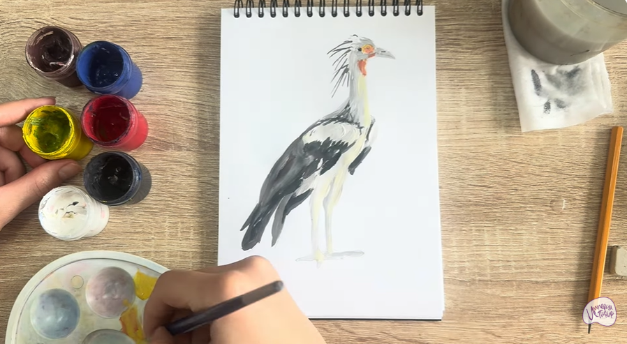 Рисуем Птица "секретарь"