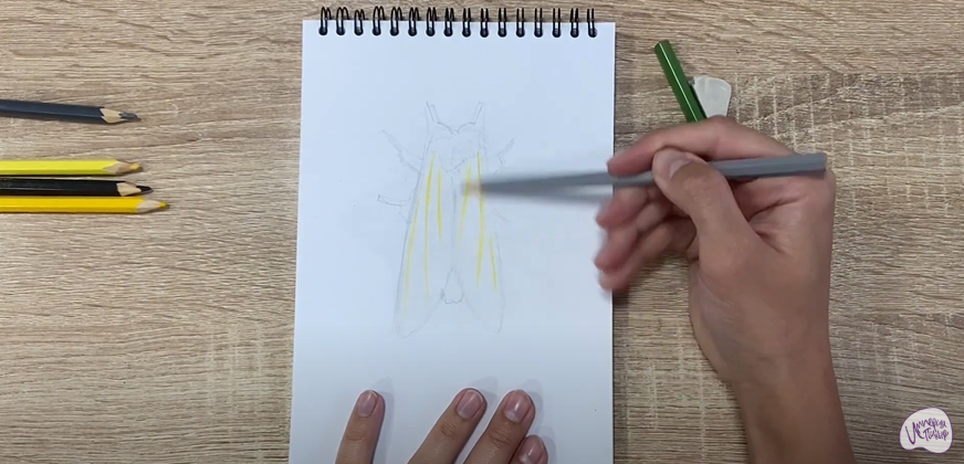 Рисуем Хохлатка