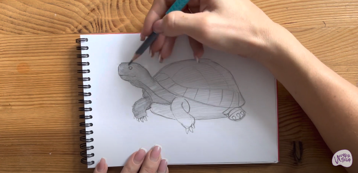 Рисуем Черепаха