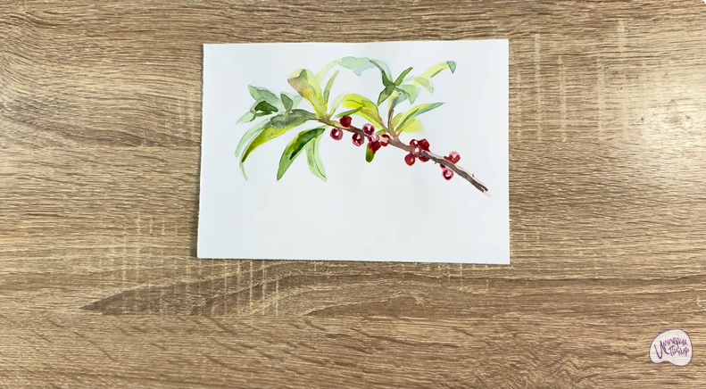 Рисуем Волчья ягода