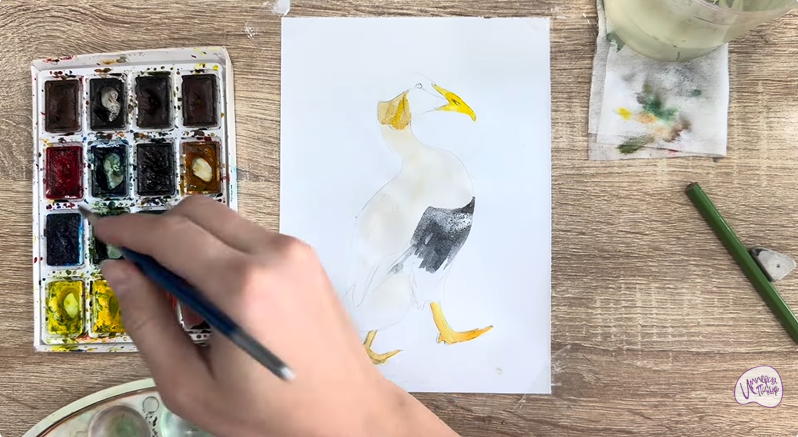 Рисуем Обыкновенная гага