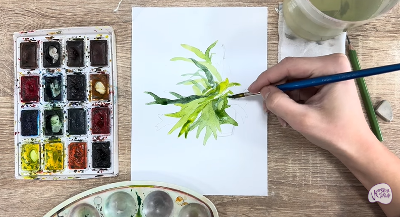 Рисуем Платицериум в горшке