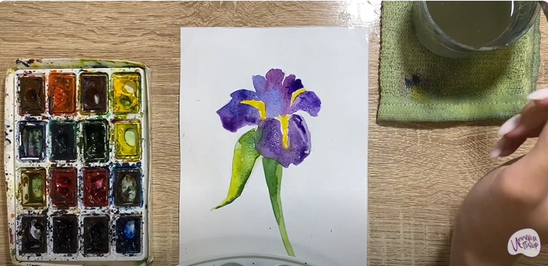 Рисуем Ирис