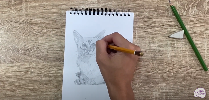 Рисуем Балинезийская кошка
