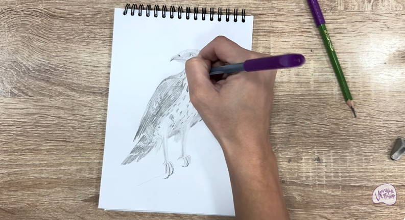 Рисуем Хохлатый осоед