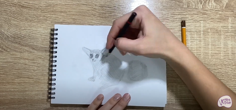 Рисуем Галаго