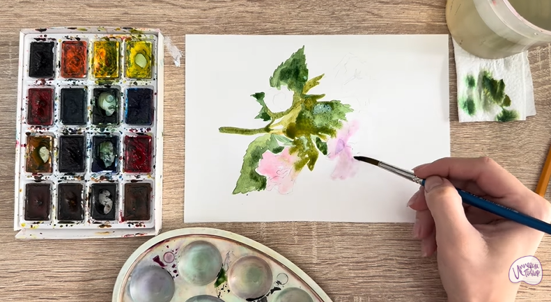 Рисуем Алтей лекарственный