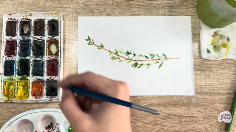 Рисуем Тимьян