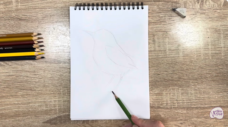 Рисуем Крапивник