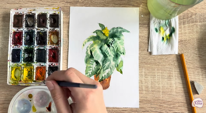 Рисуем Афеландра в горшке