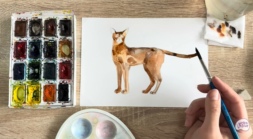 Рисуем Кошка "Чаузи"