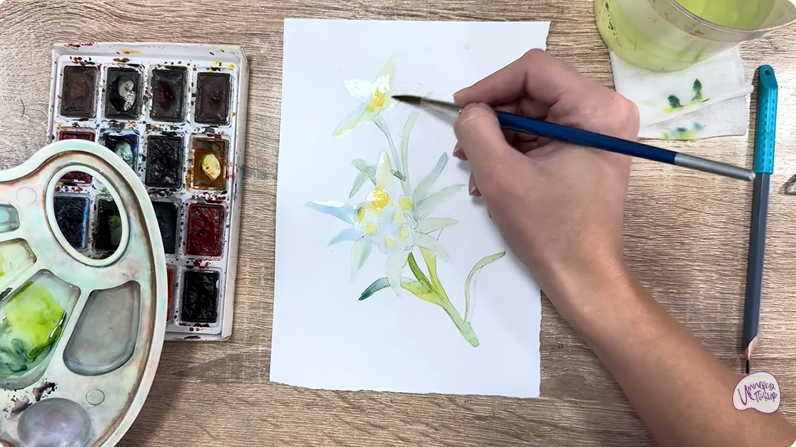 Рисуем Эдельвейс