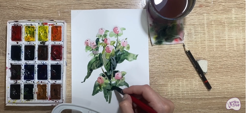 Рисуем Цветок "Гиперикум"