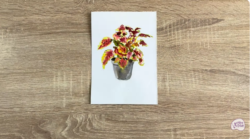 Рисуем Колеус в горшке
