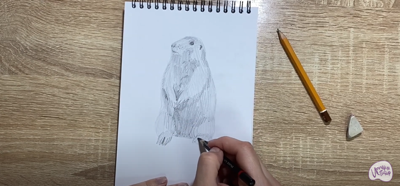 Рисуем Суслик