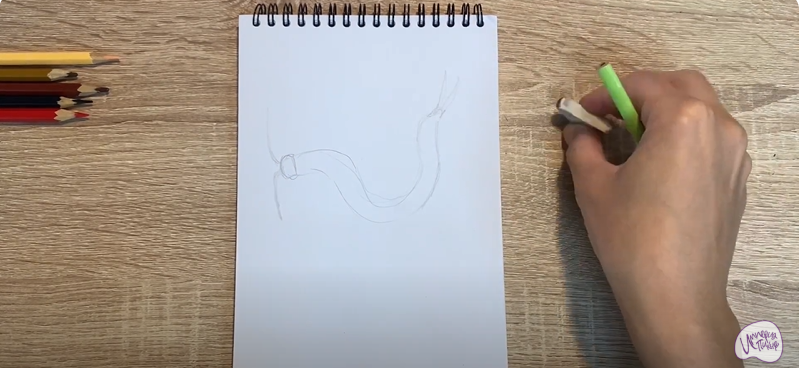 Рисуем Сколопендра