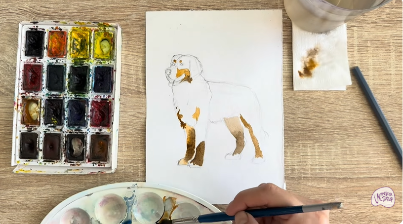 Рисуем Собака породы Бернский зенненхунд