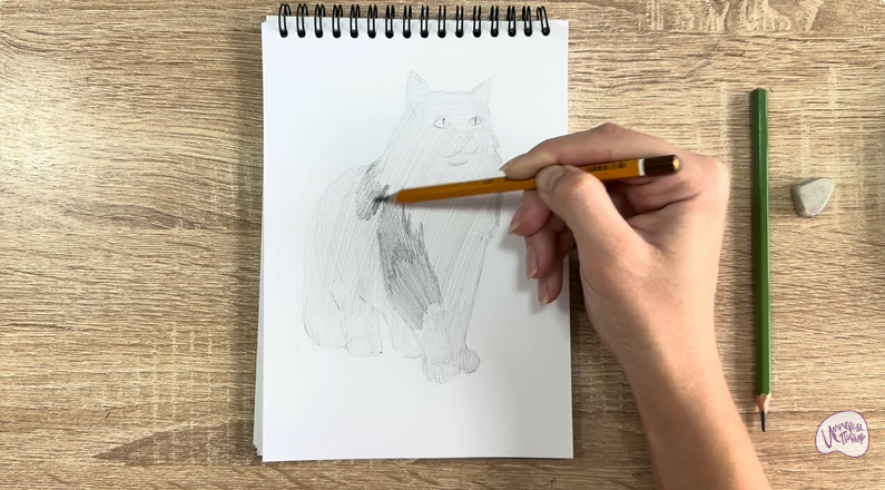 Рисуем Норвежский лесной кот