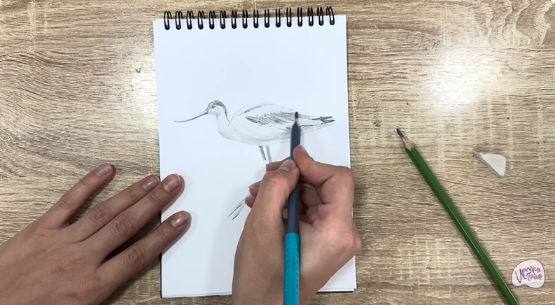 Рисуем Шилоклювка