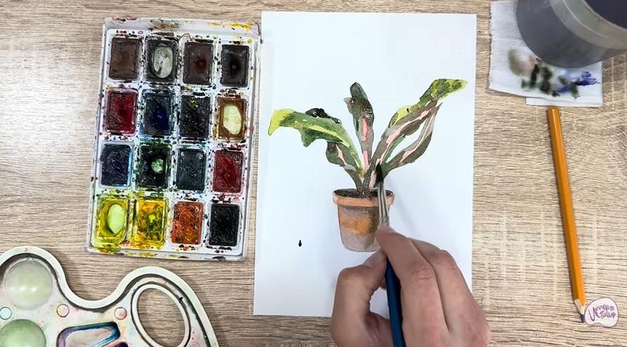 Рисуем Кротон в горшке