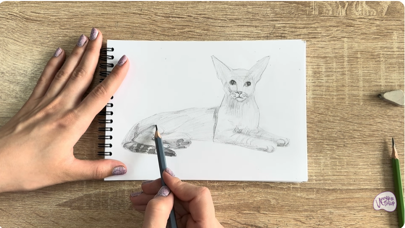 Рисуем Ориентальная кошка