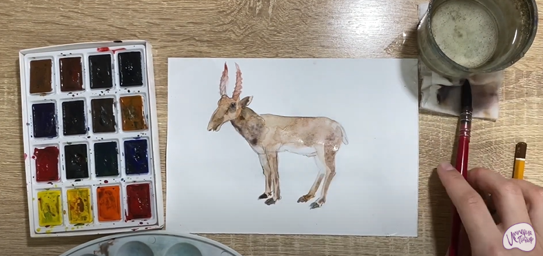 Рисуем Сайгак
