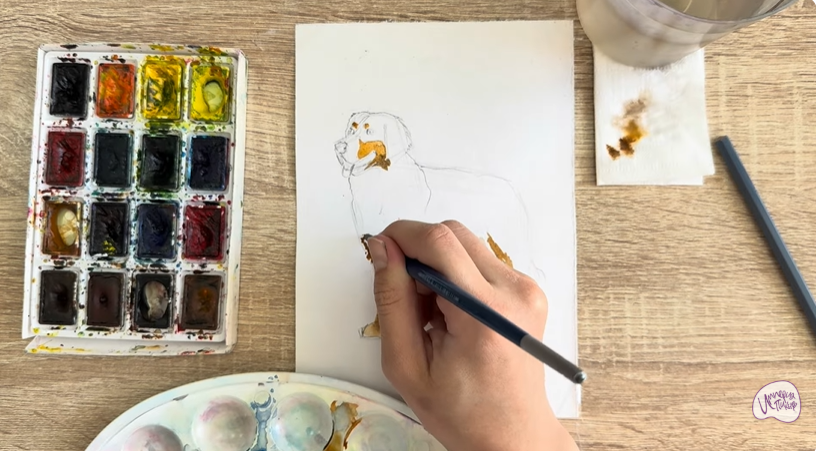 Рисуем Собака породы Бернский зенненхунд