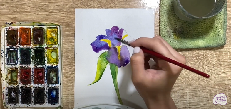 Рисуем Ирис