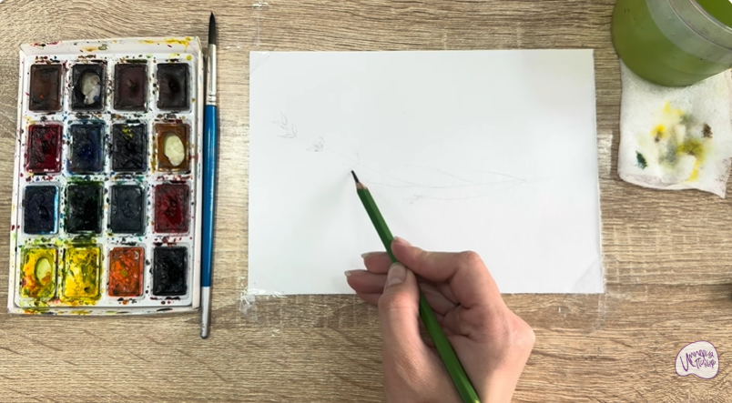 Рисуем Тимьян