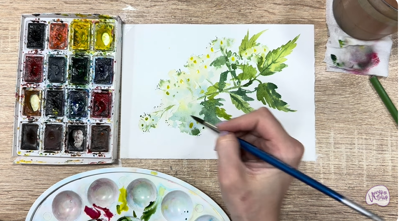 Рисуем Таволга