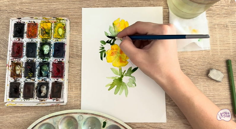 Рисуем Лапчатка