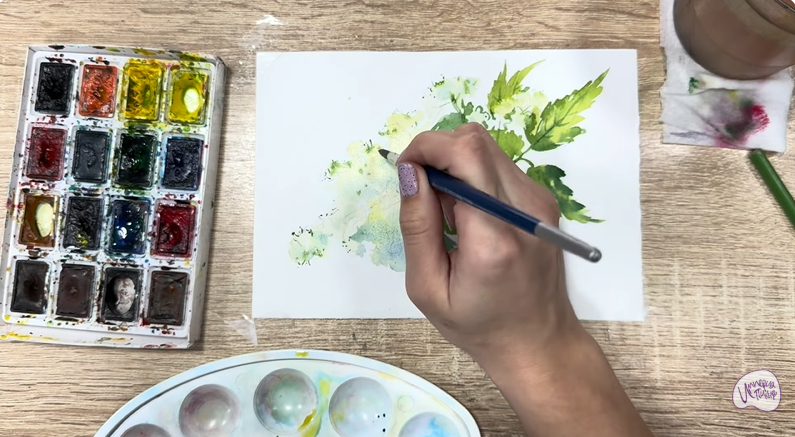 Рисуем Таволга