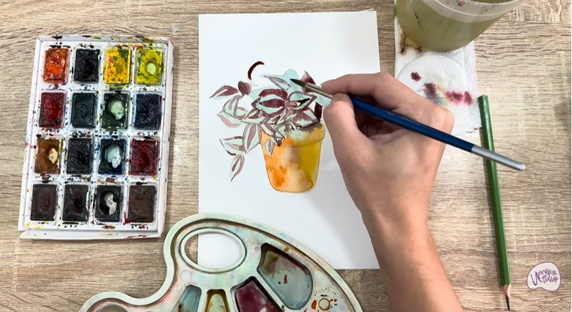 Рисуем Традесканция