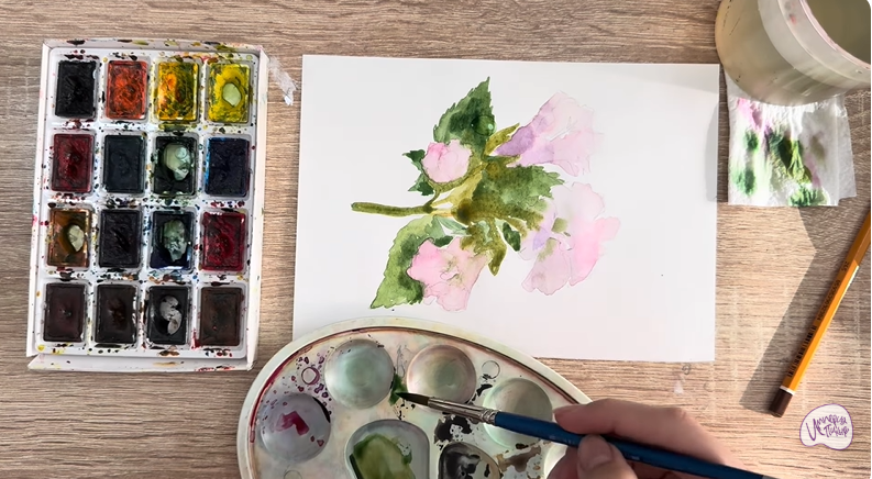 Рисуем Алтей лекарственный