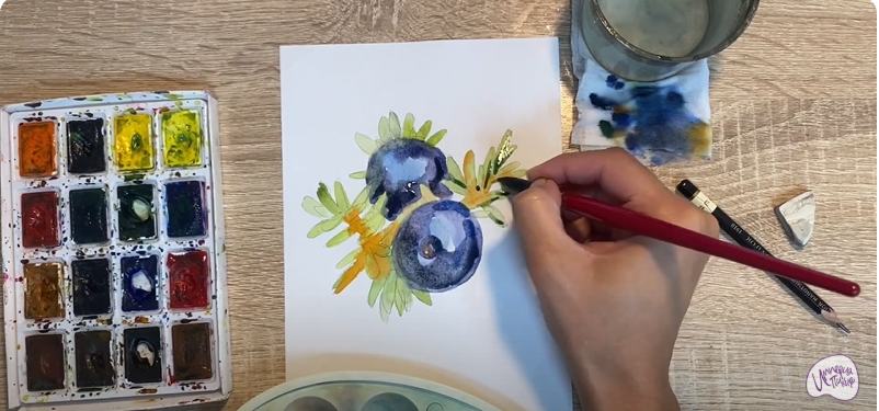 Рисуем Водяника чёрная