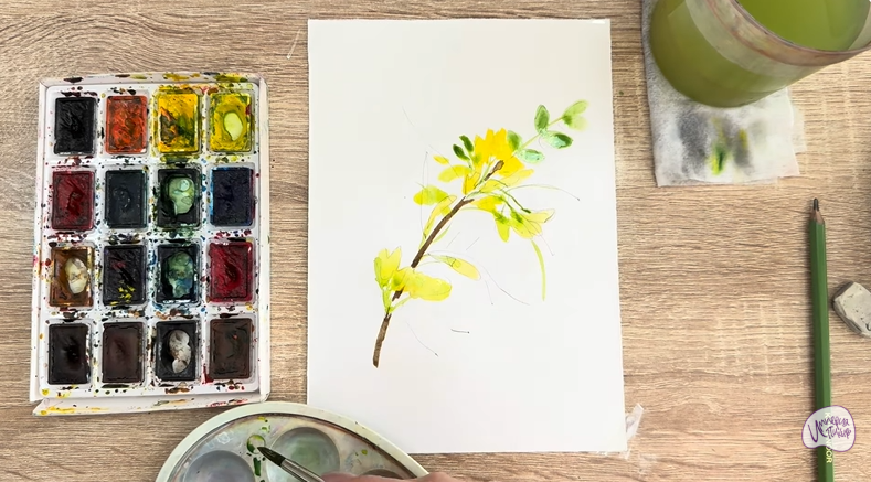 Рисуем Ветка караганы