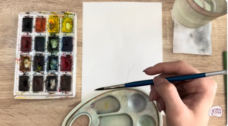 Рисуем Саженец бирючины