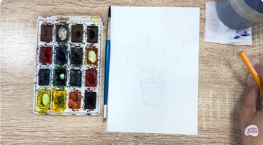 Рисуем Кротон в горшке