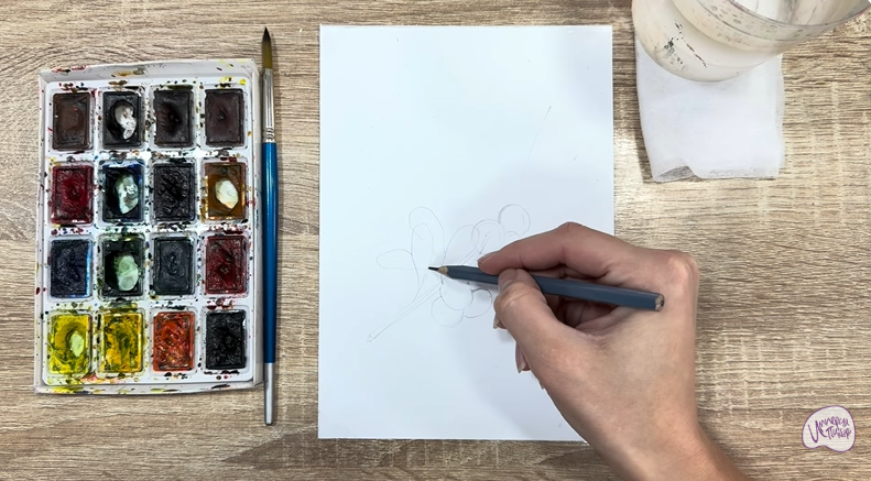 Рисуем Толокнянка