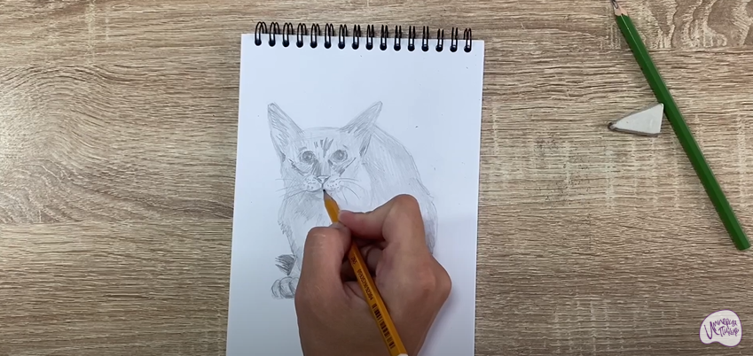 Рисуем Балинезийская кошка