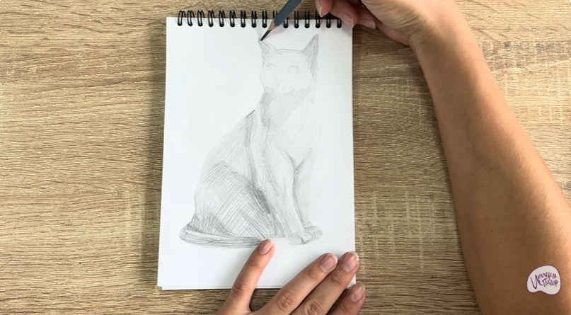 Рисуем Бурманский кот