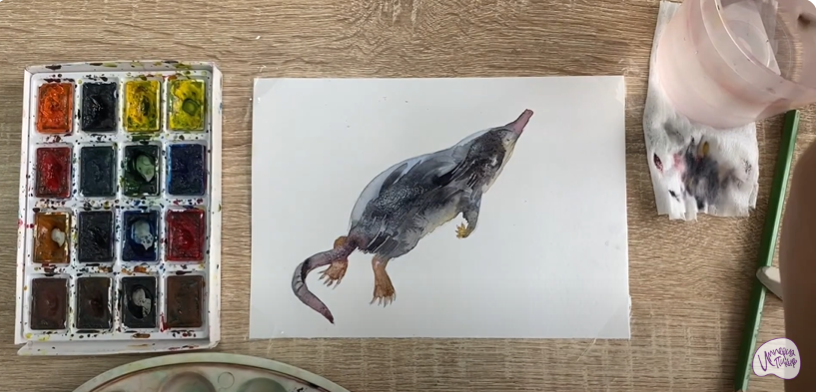 Рисуем Выхухоль