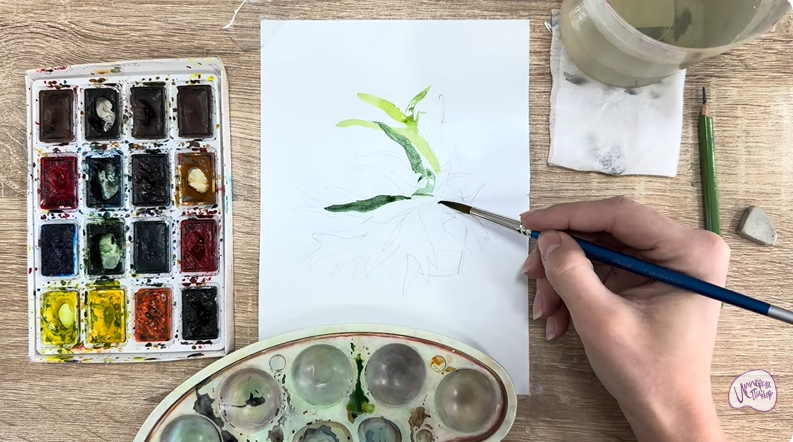 Рисуем Платицериум в горшке