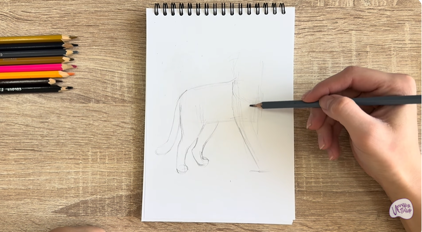 Рисуем Кошка Бурмилла