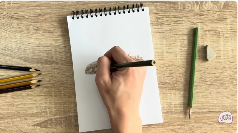 Рисуем Голотурия