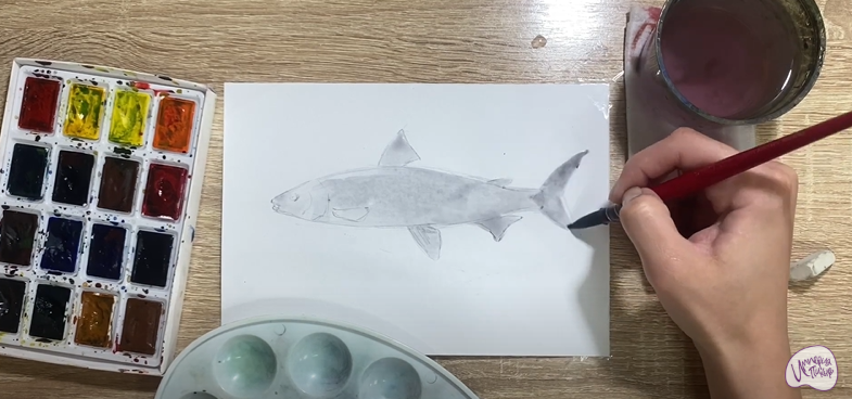 Рисуем Байкальский омуль