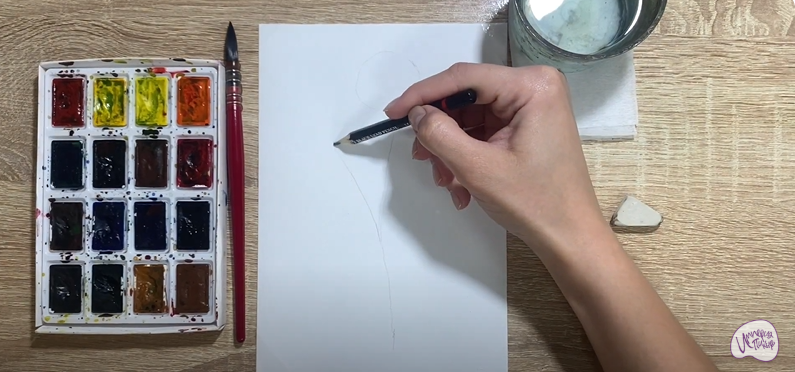 Рисуем Цветок "Скабиоза"