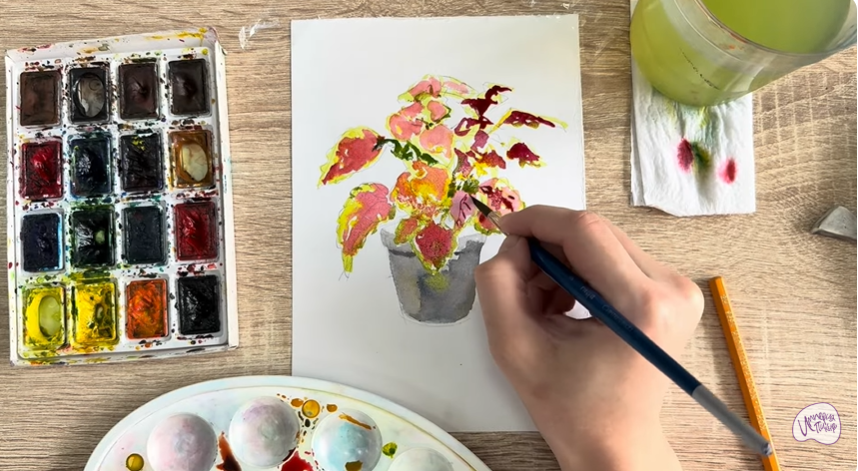 Рисуем Колеус в горшке