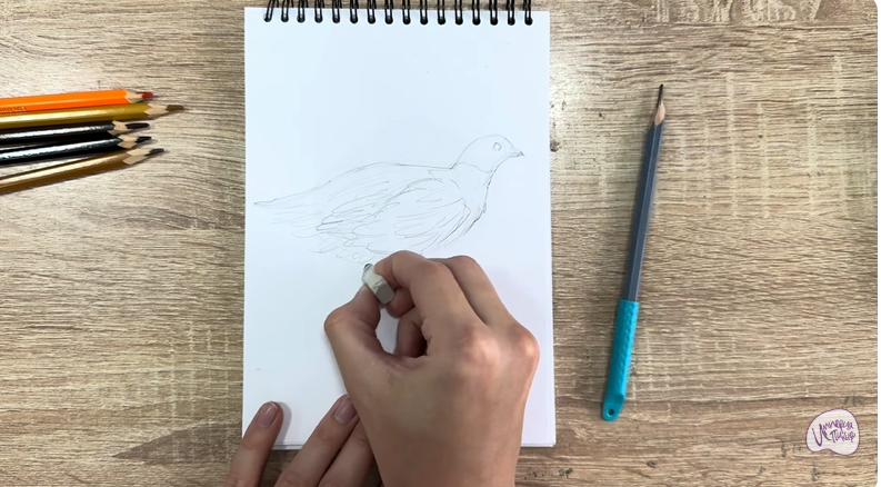 Рисуем Канадская дикуша