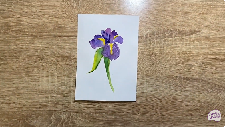 Рисуем Ирис